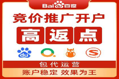 短视频平台的SEM推广实践与效果